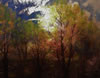 Jackson Hensley Gallery: Image